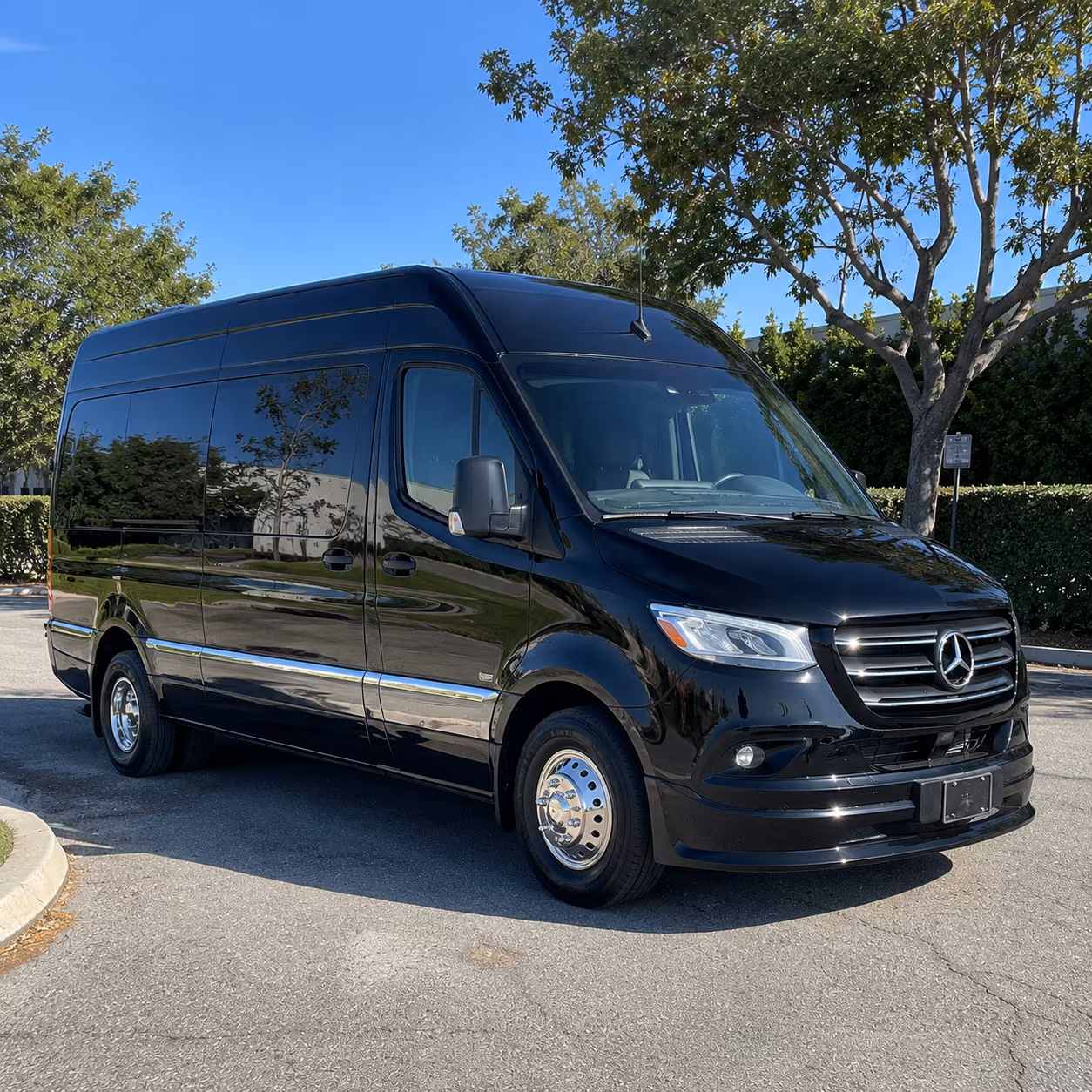 tamarac sprinter limousine